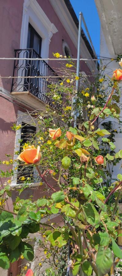 Ancient Stone 'Casa Rosa'- Sea And Mountain View Tranquil Borgo Villa Tavenna ภายนอก รูปภาพ