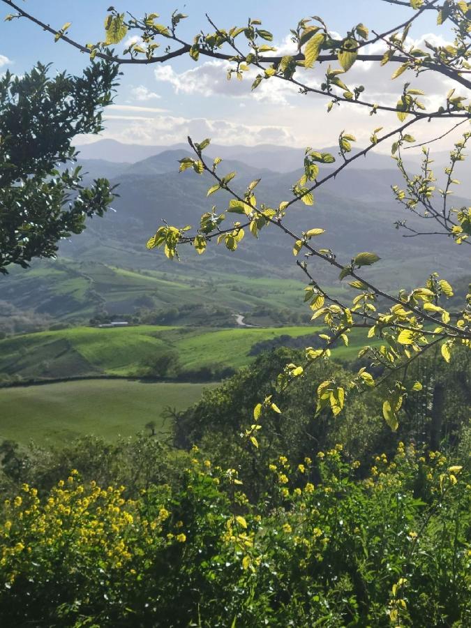 Ancient Stone 'Casa Rosa'- Sea And Mountain View Tranquil Borgo Villa Tavenna ภายนอก รูปภาพ